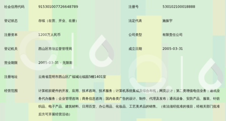 昆明凌宇志達網(wǎng)絡科技 專業(yè)信息咨詢服務驅(qū)動數(shù)字化轉(zhuǎn)型